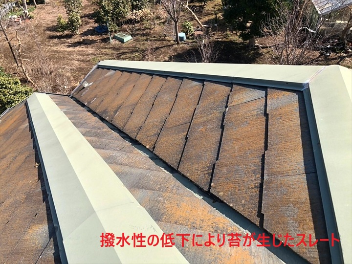 苔が発生した屋根
